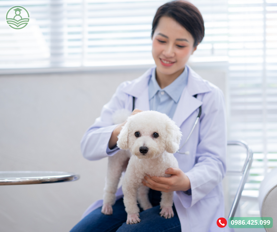 Bằng Trung cấp thú y Online Từ Xa