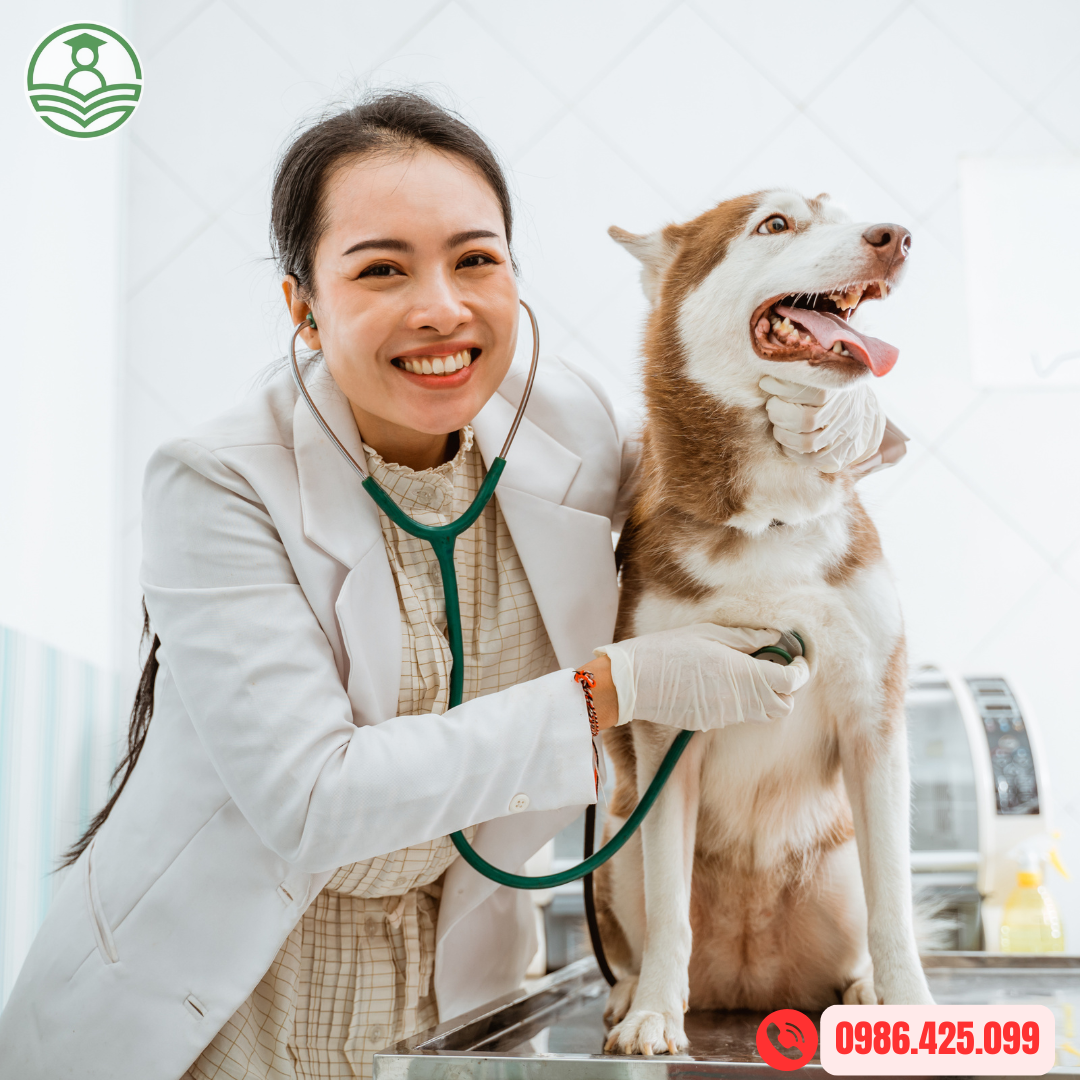 Tuyển sinh Trung cấp Thú Y tại An Giang