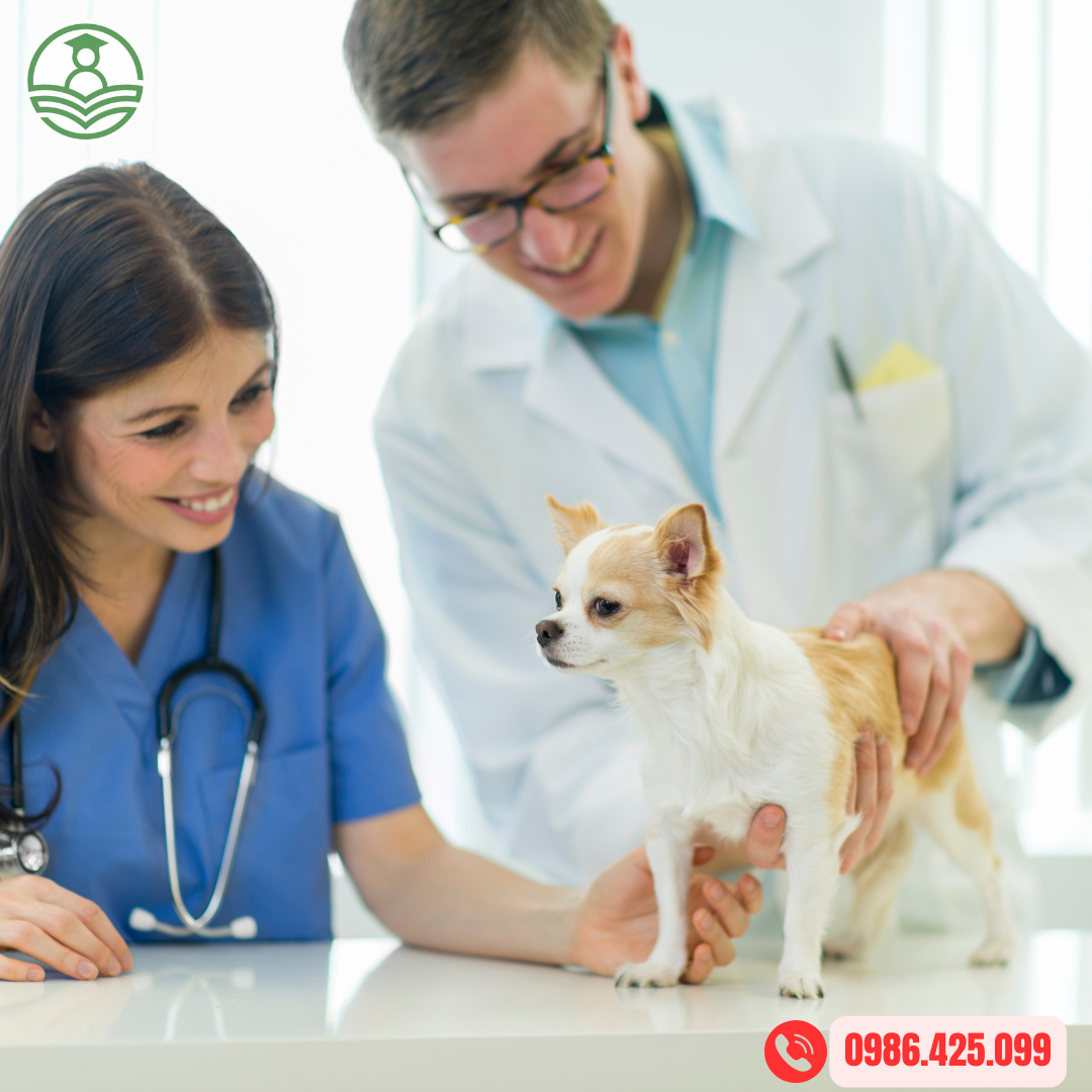 Tuyển sinh Trung cấp Thú y tại Cà Mau