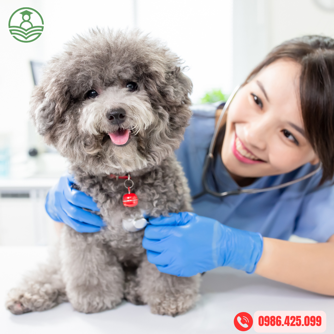 Tuyển sinh Trung cấp Thú y tại Đồng Tháp